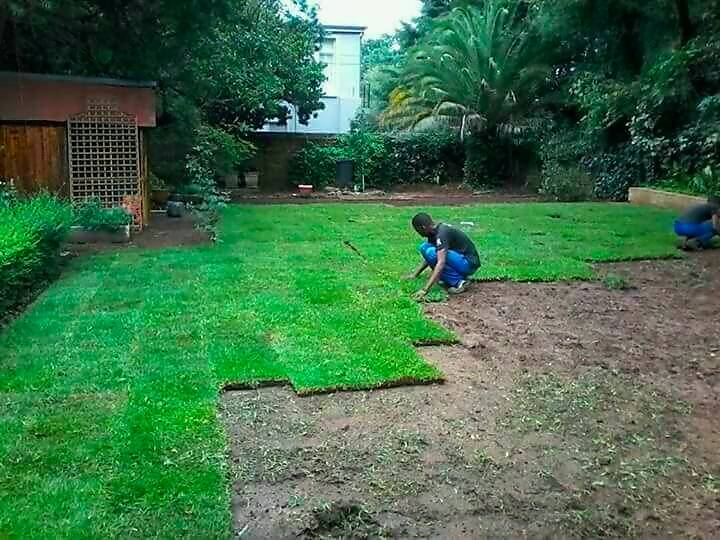 Evergreen Valley Instant Lawns fresh from the farm, delivering, installing LM and laying Kikuyu grasses, supplying lawn dressing, topsoil and compost‎, irrigation systems installations